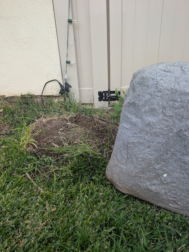 Fresh gopher mound beside a large rock and vinyl fence in a Winchester backyard near rolling hills