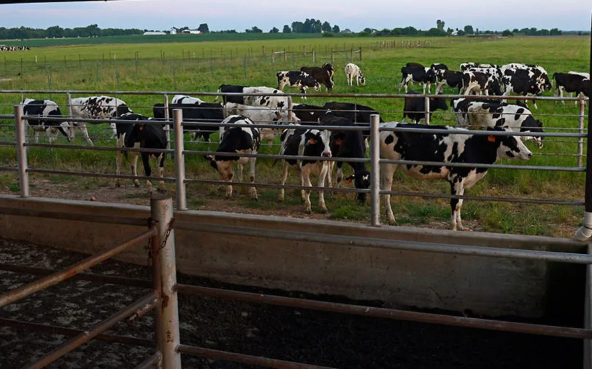 Dairy pasture in the Chino, CA preserve, open ground bordering neighborhoods where gophers spread from