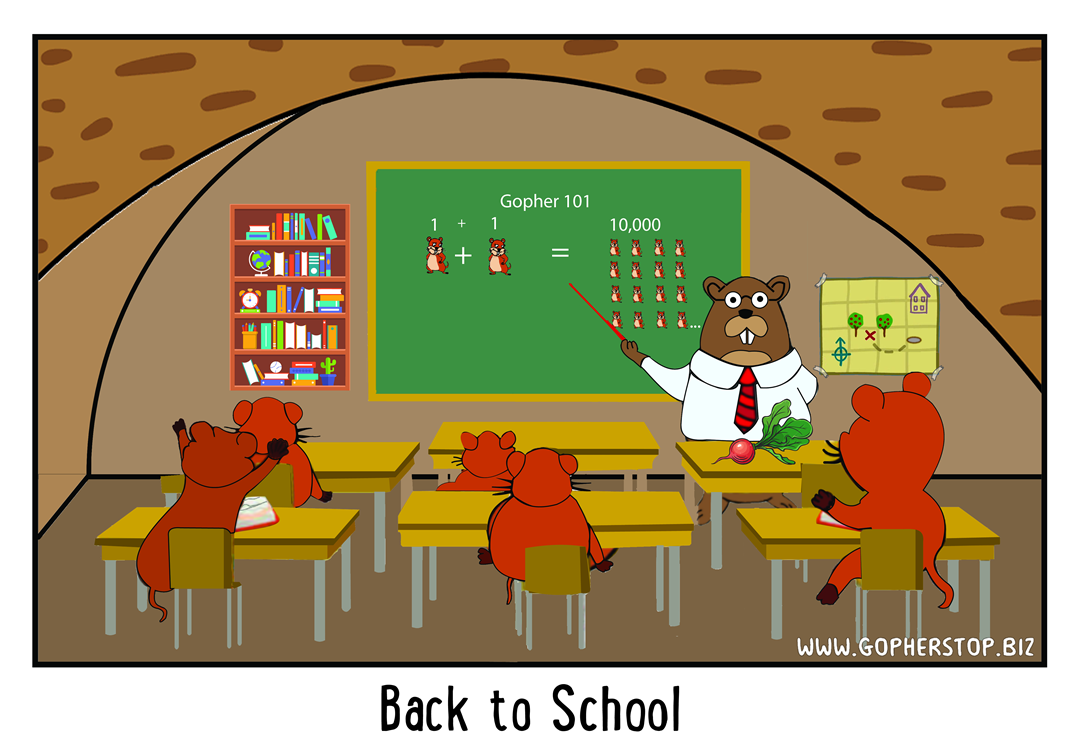 Back to School gophers