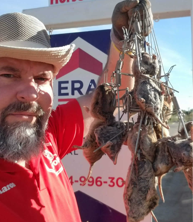 Gopher Stop technician holding multiple gophers caught in traps from a single Southern California property