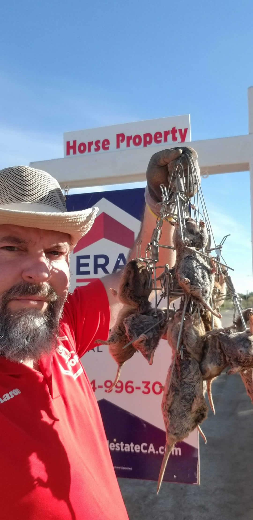 9 gophers caught on a horse property