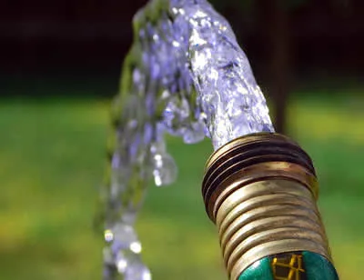 Flooding gophers out with a hose