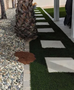 Gopher damage under artificial turf