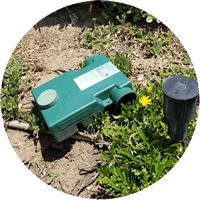 Above Ground Gopher Trap