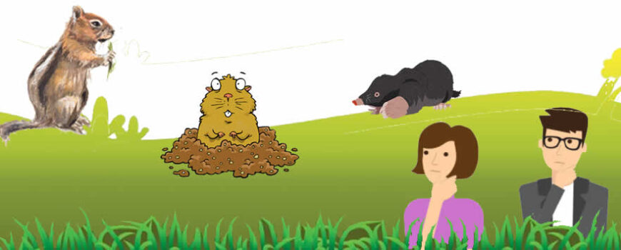 How to Identify the Mounds and Holes of Gophers, Moles and Ground Squirrels