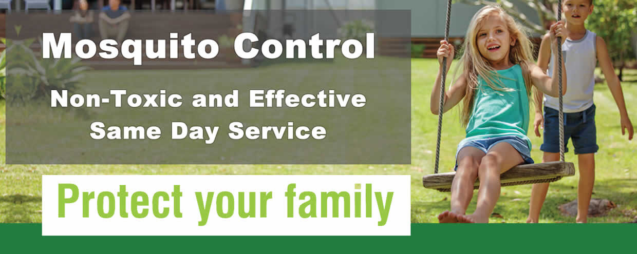 Mosquito Control Services